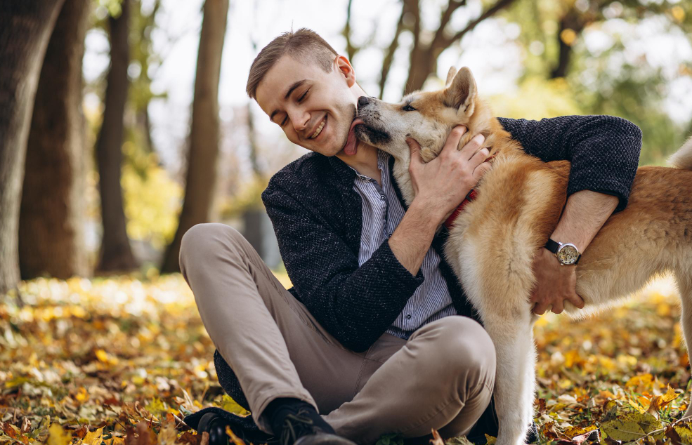 Dogs Choose Humans as Family Over Other Dogs: Exploring Canine Brain Connections